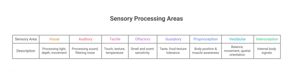Infographic titled “Sensory Processing Areas.” A table outlines eight sensory systems and their functions. The columns are: Visual (processing light, depth, and movement), Auditory (processing sound and filtering noise), Tactile (touch, texture, and temperature), Olfactory (smell and scent sensitivity), Gustatory (taste and food texture tolerance), Proprioception (body position and muscle awareness), Vestibular (balance, movement, and spatial orientation), and Interoception (internal body signals). The table is displayed on a black background with color-coded sensory area headings and white borders. The graphic is credited to Rehab for Autism & ADHD.